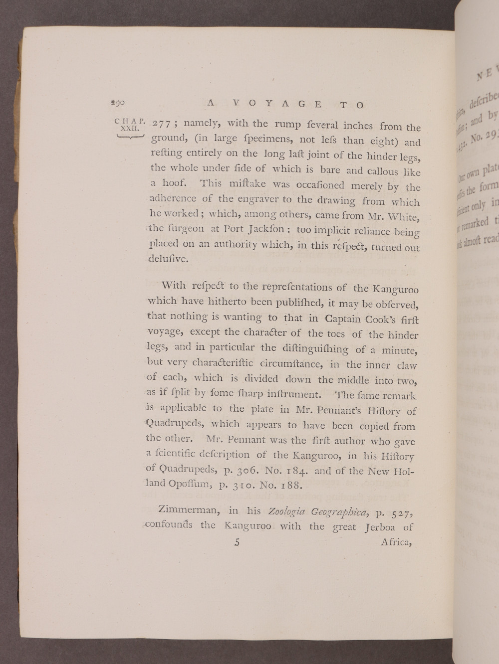 Page 290
